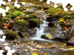 rocks, stream, Leaf, autumn, mosses, forest