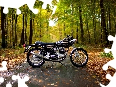 Leaf, autumn, forest, Way, motor-bike