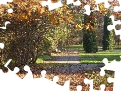 Leaf, autumn, trees, viewes, Park