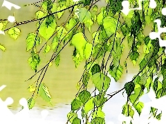 Fractalius, birch-tree, Leaf