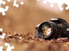 Camera, Autumn, Leaf, Canon