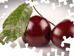 leaf, Two, cherries