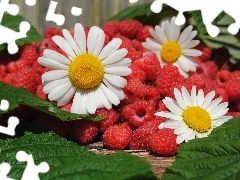 Leaf, raspberries, daisies