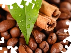 grains, vanilla, leaf, coffee