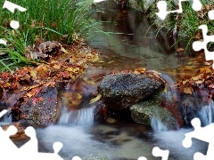 Leaf, River, Stones
