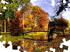 trees, bridge, Leaf, viewes