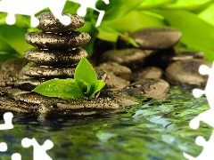 Leaf, Stones, water