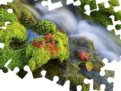 Leaf, River, waterfall