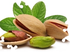 pistachios, leaves