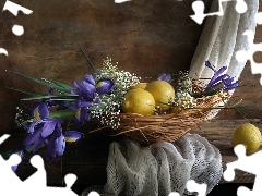 composition, Irises, lemons, Flowers