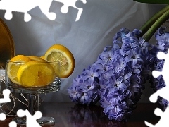 lemons, Hyacinths, glass