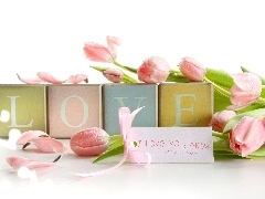 Pink, Blocks, letters, Tulips