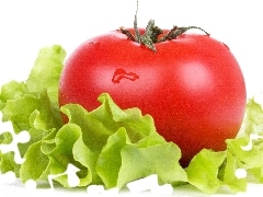 lettuce, Red, tomato