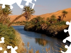 River, Desert, Libya, Palms