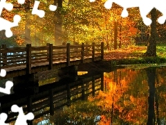 bridge, ligh, autumn, sun, luminosity, River, Park, flash