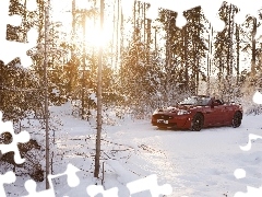 forest, ligh, winter, sun, luminosity, Cabrio, Jaguar, flash