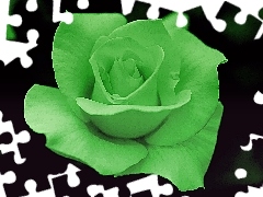 Light green, rose