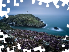 heathers, national, Coast, great, Lighthouse, Park, Pembrokeshire Coast, Britain, wales, maritime