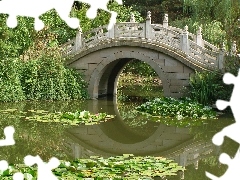 lilies, water, Pond - car, bridge, Park