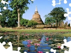 lilies, ruins, trees, viewes, water, Pond - car