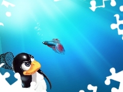 penguin, fighter, Linux, fish