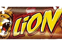 bar, Lion