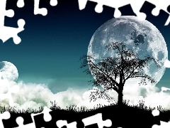 logo, Apple, trees, Night, moon