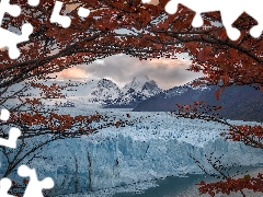 trees, Perito Moreno, Patagonia, Mountains, glacier, Los Glaciares National Park, Argentina