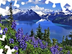 Mountains, Flowers, Lupin, lake