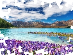 Mountains, flourishing, lupins, lake