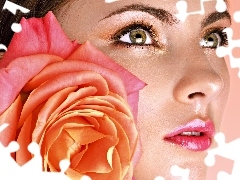 rose, Women, make-up
