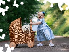 dress, girl, dog, Maltese, trolley, Blue