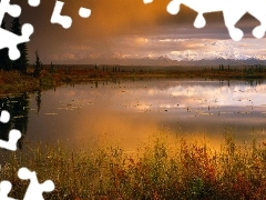 autumn, Mountains, marsh marigolds, glow, Leaf, lake