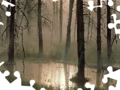 marshland, forest, Dusk