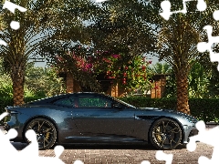 Aston Martin, Superleggera, Palms, DBS