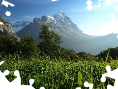 Meadow, Mountains, Fog