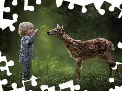 Meadow, forest, boy, deer, Kid