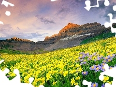 Meadow, Spring, Mountains