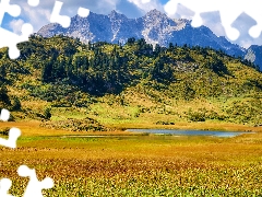 Alps, Mountains, lake, car in the meadow, viewes, Tirol, Austria, trees