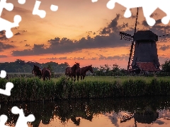 River, Great Sunsets, Meadow, bloodstock, Windmill