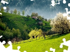 woods, Mountains, medows, Houses, country, Slovenia, trees, viewes, flourishing