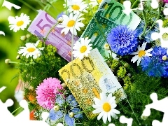 money, bouquet, flowers