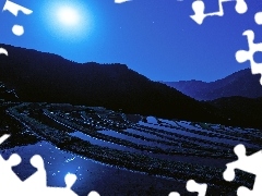 moon, Sky, rice, Night, field