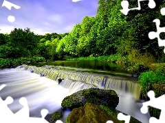 forest, rocks, Moss, waterfall