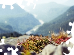 Moss, Mountains, rocks