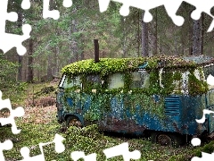 rusty, forest, Moss, Automobile