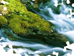 Moss, waterfall, VEGETATION