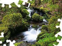 forest, River, Moss, waterfall, Stones, stream