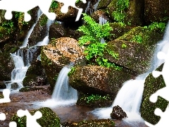 waterfall, fern, mosses, Stones