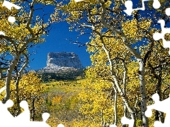 Mountains, birch, autumn